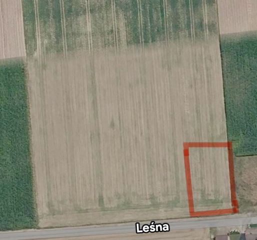 Działka budowlana Doruchów, ul. Leśna. Zdjęcie 1