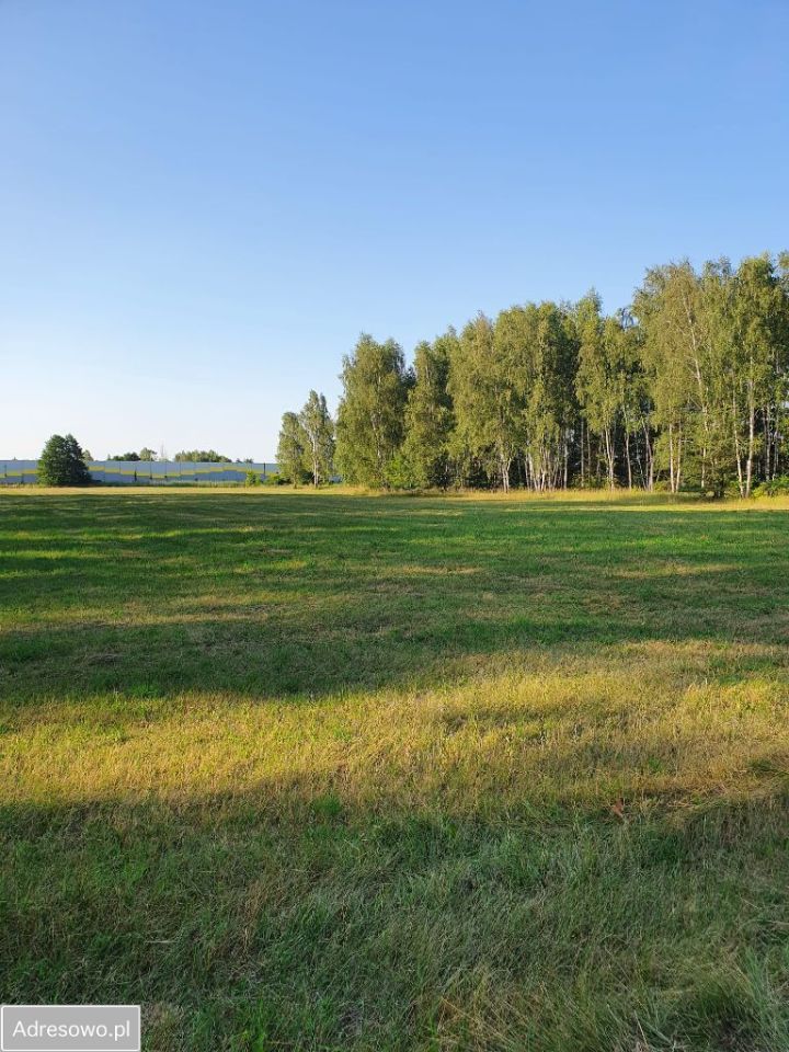 Działka rolno-budowlana Pawlikowice