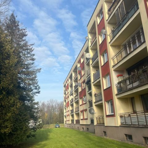 Mieszkanie 3-pokojowe Pszczyna. Zdjęcie 14