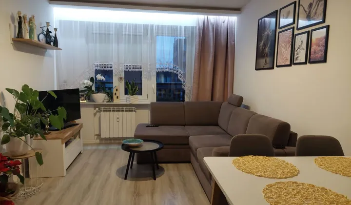 Mieszkanie 2-pokojowe Bełchatów Binków