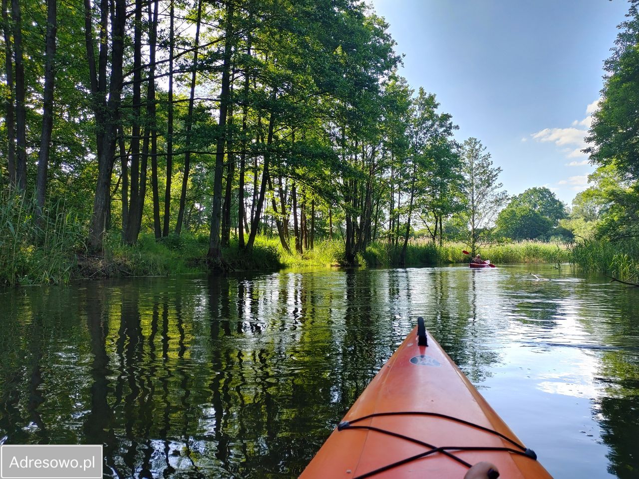 Działka leśna Sąpolno. Zdjęcie 6