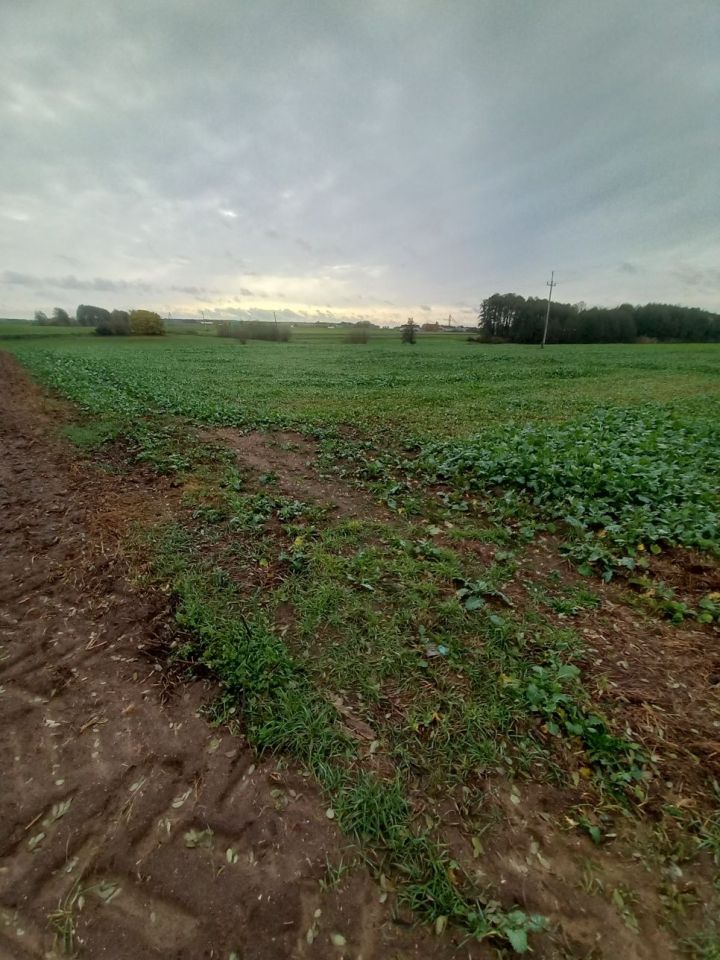 Działka inwestycyjna Żelice. Zdjęcie 5