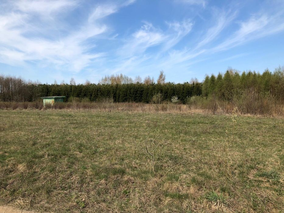 Działka budowlana Lauda. Zdjęcie 5