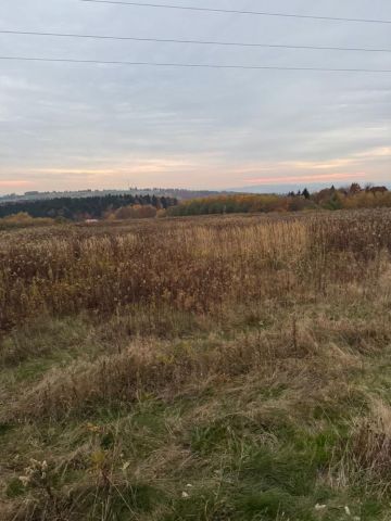 Działka rolno-budowlana Braciejowa Południk. Zdjęcie 1