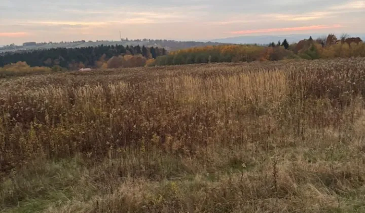 Działka rolno-budowlana Braciejowa Południk