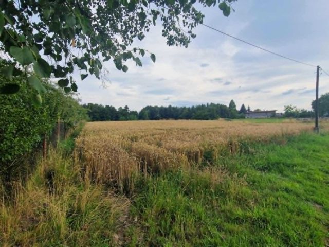 Działka rolno-budowlana Kończyce Małe. Zdjęcie 1