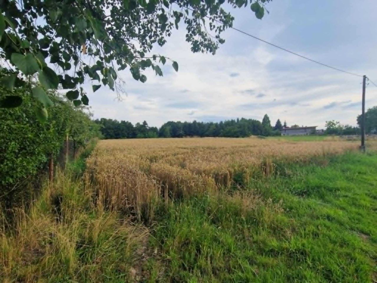 Działka rolno-budowlana Kończyce Małe