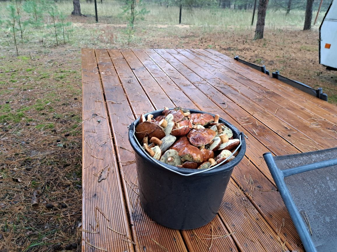 Działka budowlana Klempicz. Zdjęcie 9