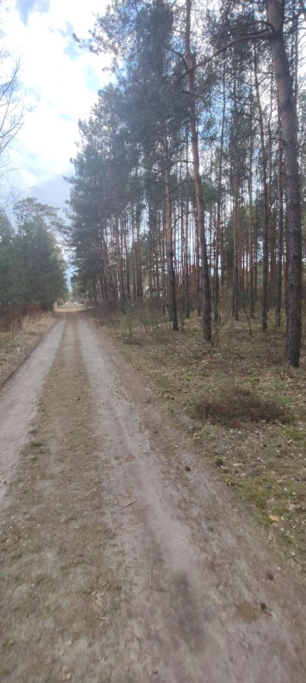 Działka rekreacyjna Cyganówka. Zdjęcie 9