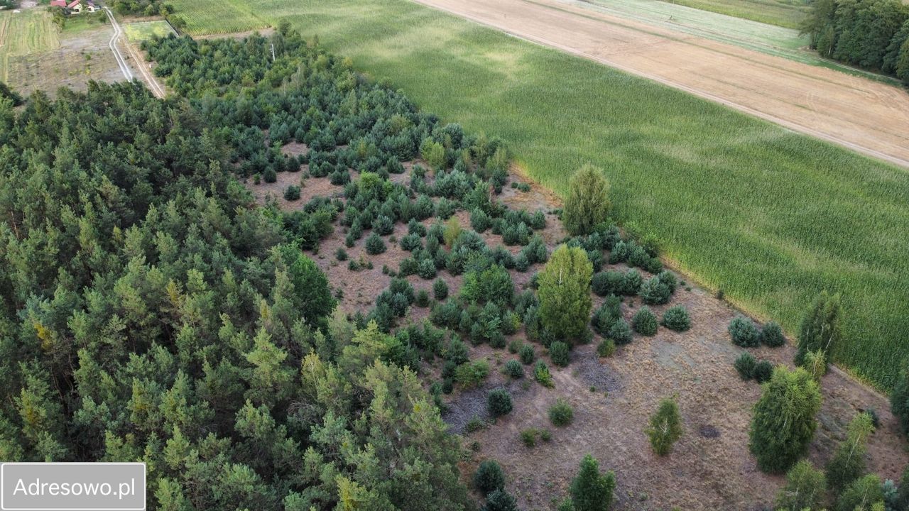 Działka budowlana Wojsławice. Zdjęcie 3