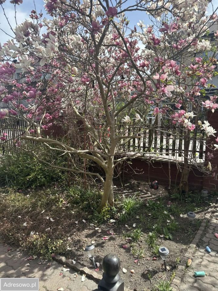 bliźniak, 4 pokoje Krasnystaw, ul. Grunwaldzka. Zdjęcie 6