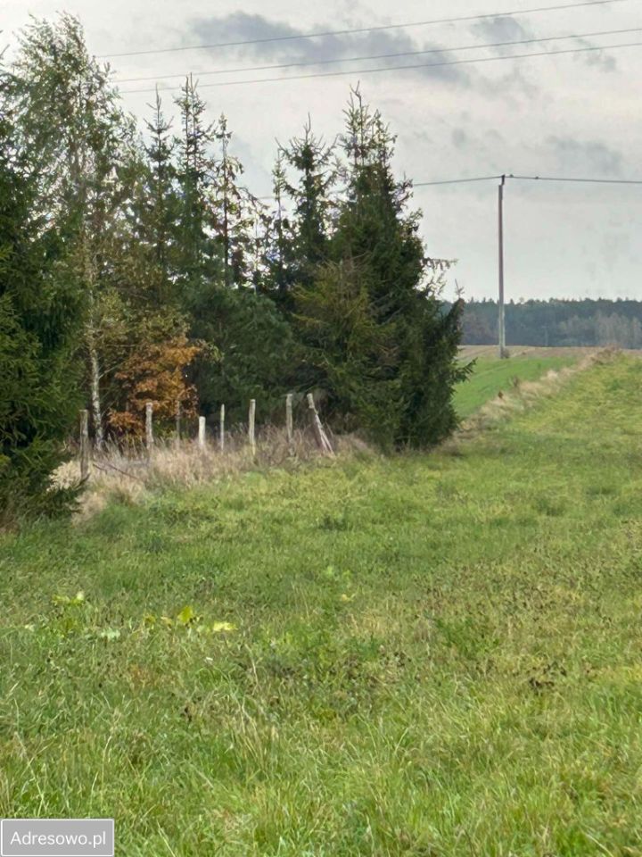 Działka budowlana Osowo Leśne