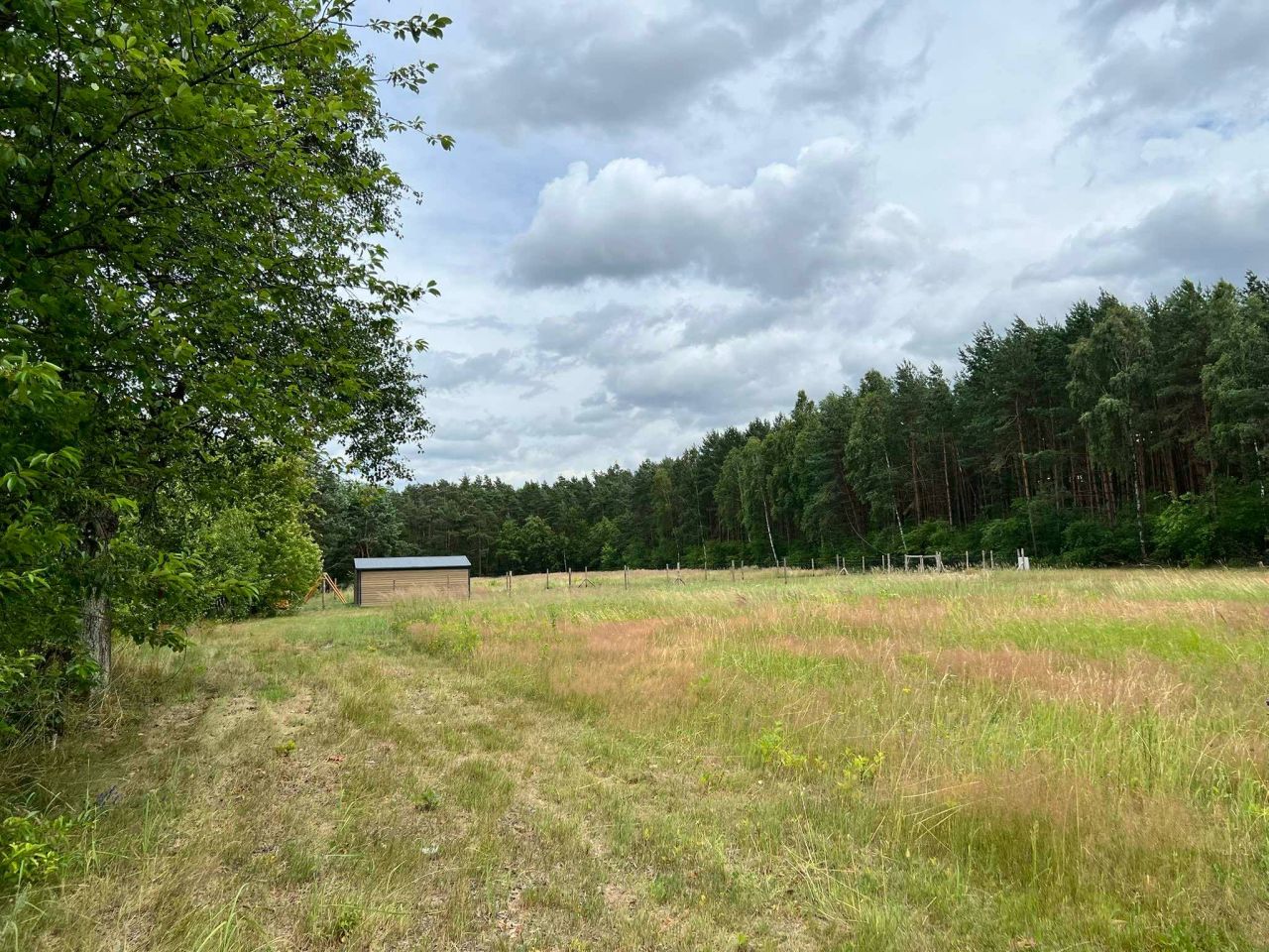 Działka leśna Bukowa. Zdjęcie 6