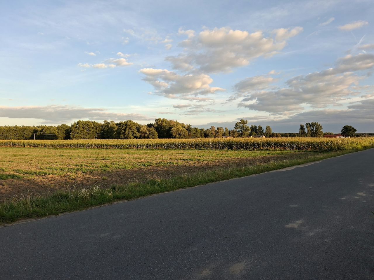 Działka budowlana Wielenin. Zdjęcie 3