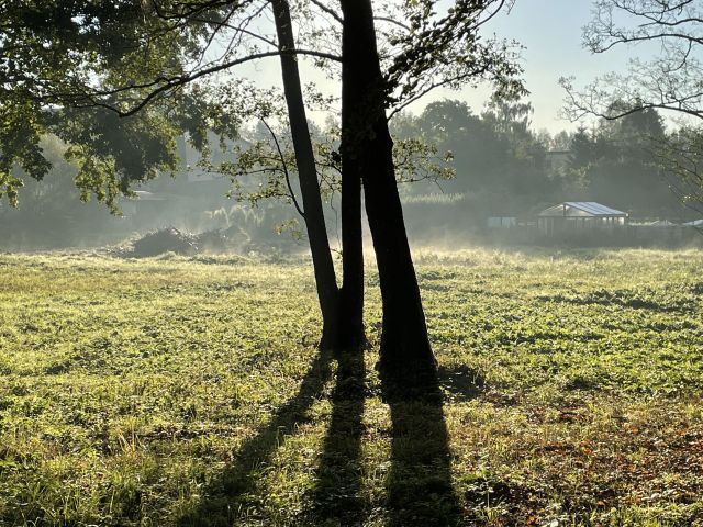 Działka budowlana Drawsko Pomorskie Okrze, ul. Stefana Okrzei. Zdjęcie 1