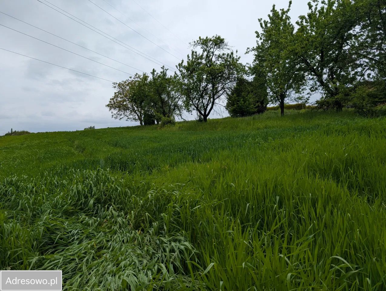 Działka rolna Mazańcowice. Zdjęcie 6