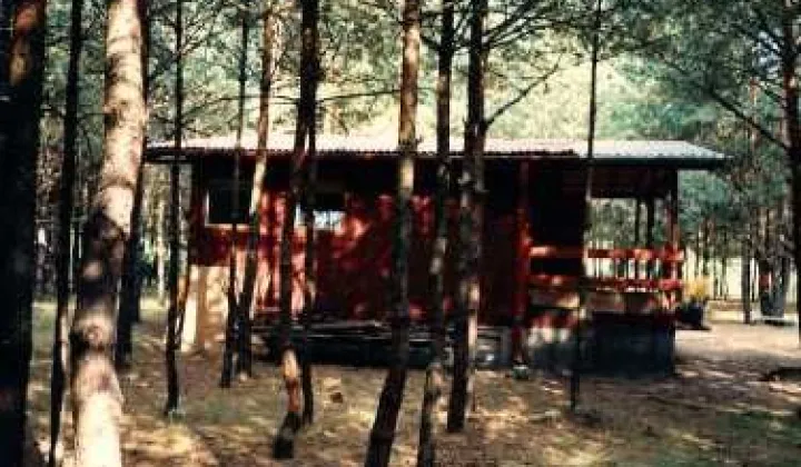 Działka rekreacyjna Strachów, ul. Klonowa