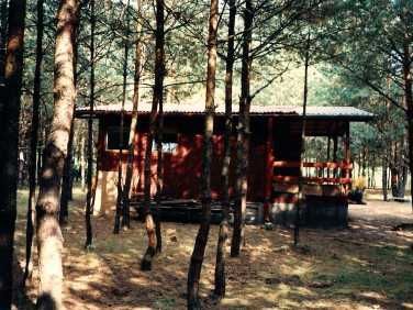 Działka rekreacyjna Strachów, ul. Klonowa. Zdjęcie 1