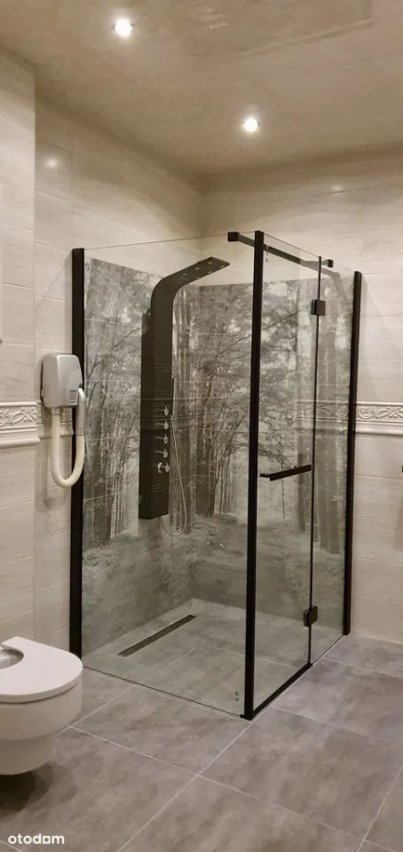 dom wolnostojący, 6 pokoi Płock Podolszyce, Boryszewo Nowe. Zdjęcie 14