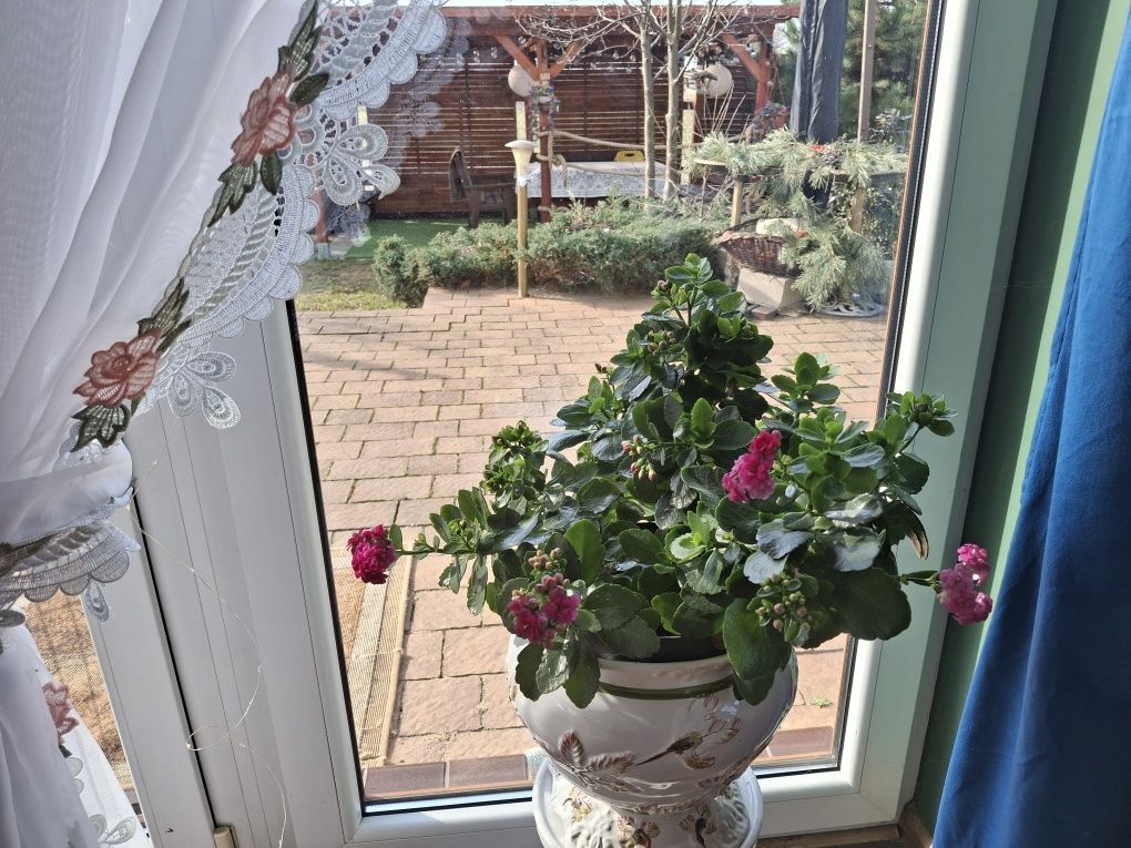 dom wolnostojący Słodków-Kolonia. Zdjęcie 4