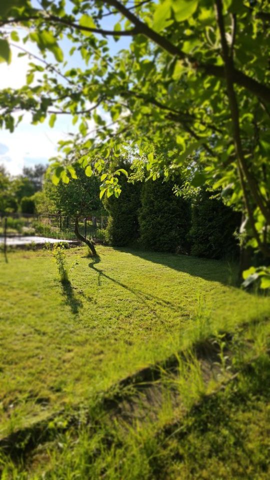 Działka rod Zawiercie Zuzanka, ul. Podmiejska. Zdjęcie 7