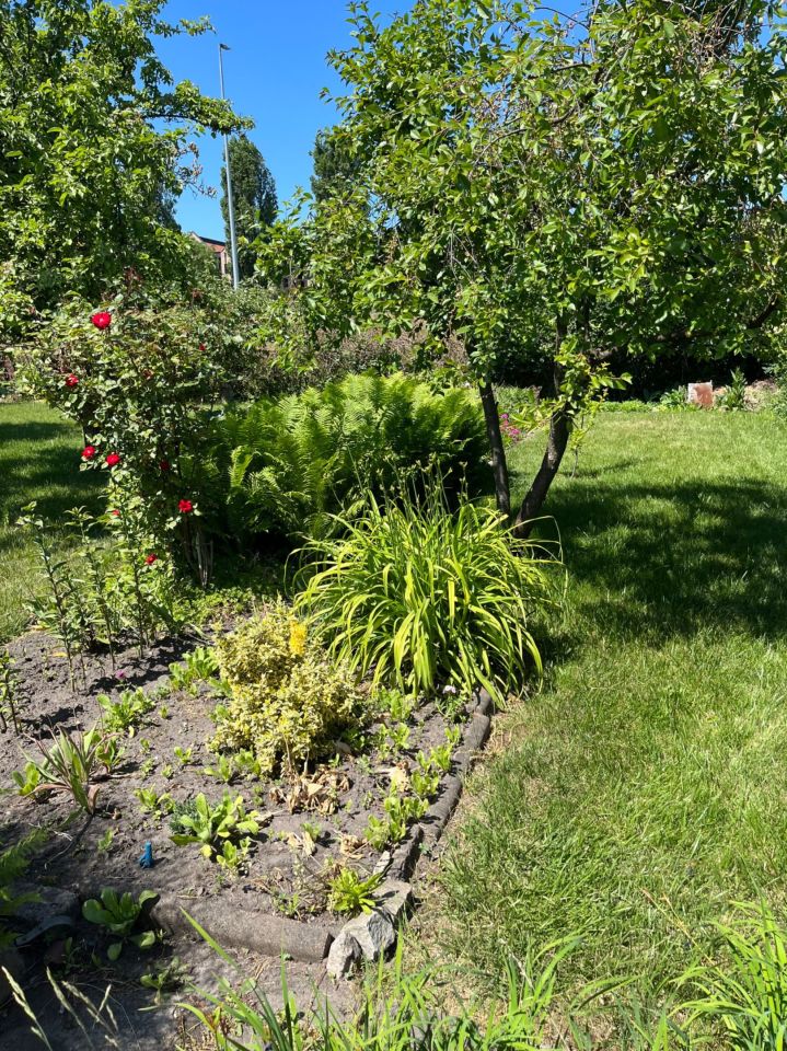 Działka rod Gdańsk Olszynka, ul. Modra. Zdjęcie 6