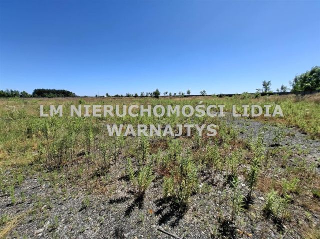 Działka inwestycyjna Wilcza, ul. Rybnicka. Zdjęcie 4