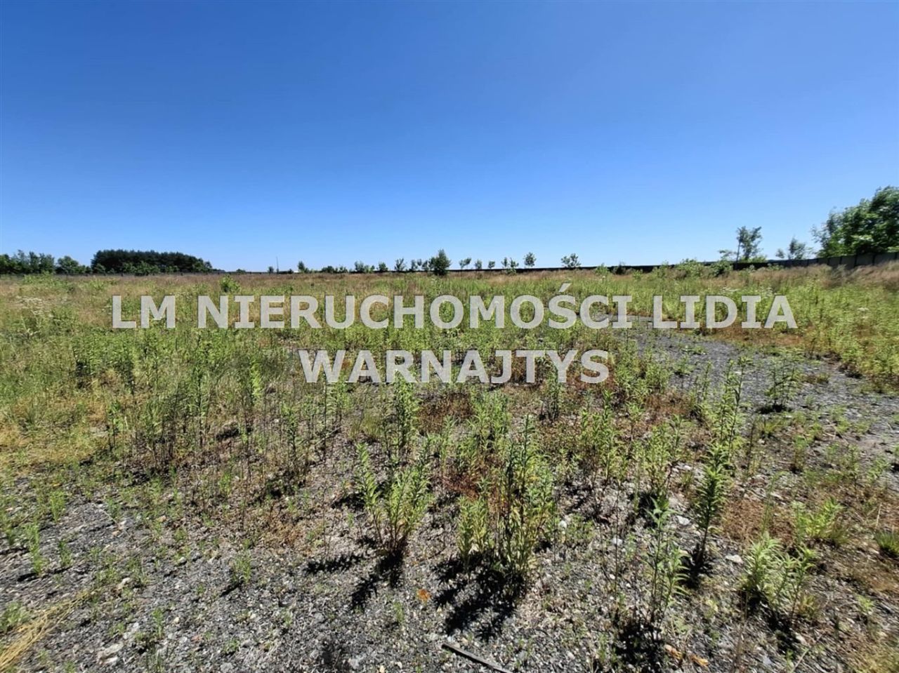 Działka inwestycyjna Wilcza, ul. Rybnicka. Zdjęcie 4