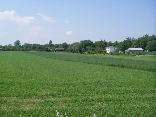 Działka rolna Klikawa. Zdjęcie 1