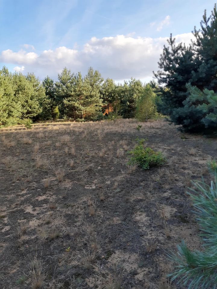 Działka rekreacyjna Zambski Kościelne. Zdjęcie 9