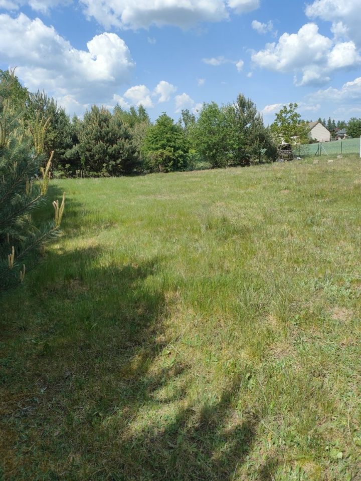 Działka rekreacyjna Lubieniec Wieś Lubieniecka. Zdjęcie 2