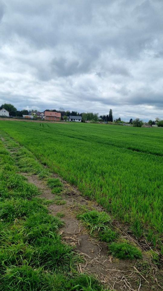 Działka rolna Żuków. Zdjęcie 11