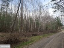 Działka leśna Zborów. Zdjęcie 4