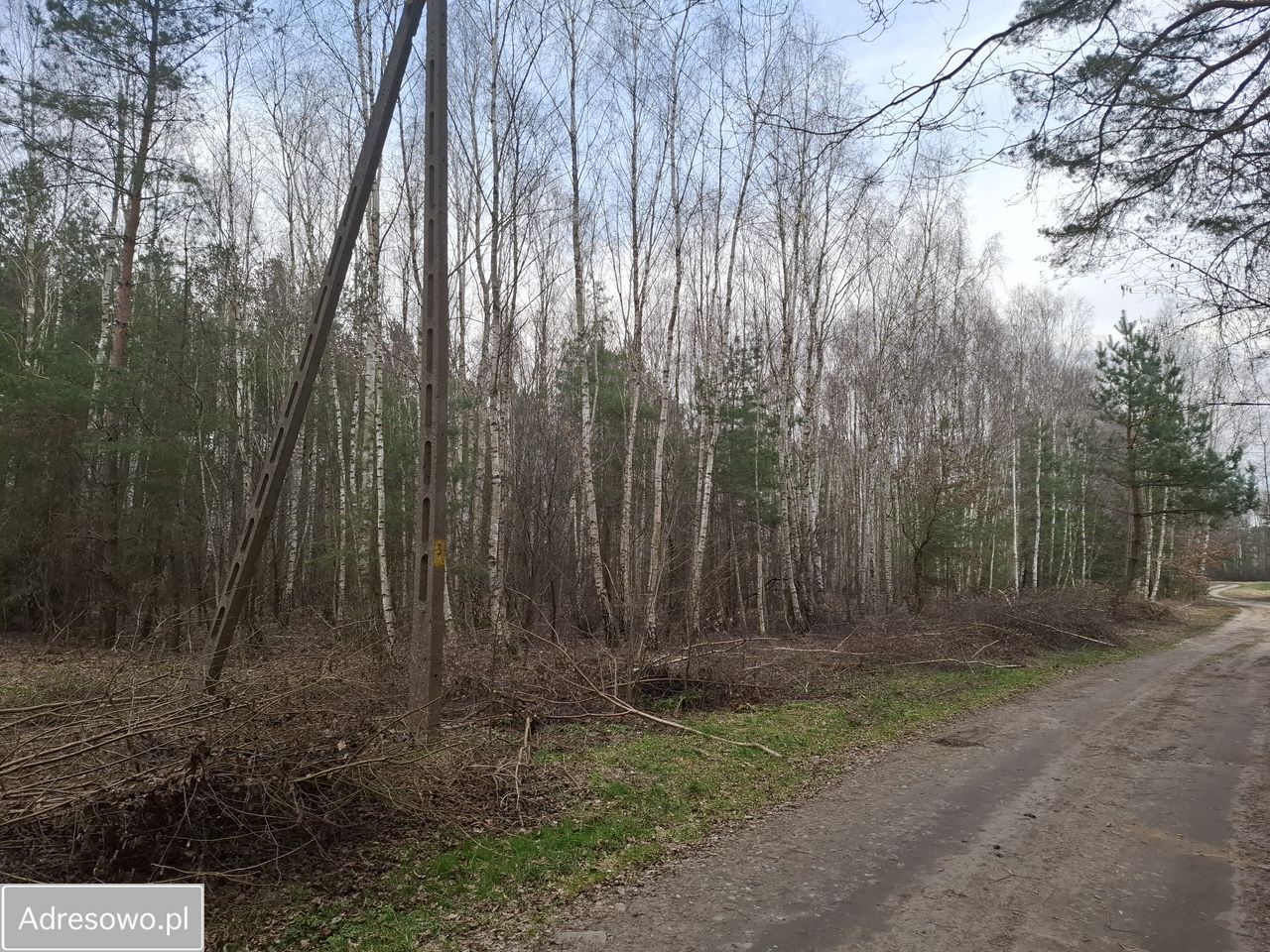 Działka leśna Zborów. Zdjęcie 5