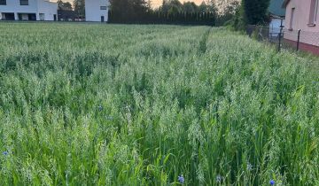 Działka rolno-budowlana Wilczyn