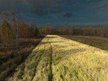 Działka budowlana Książenice. Zdjęcie 1