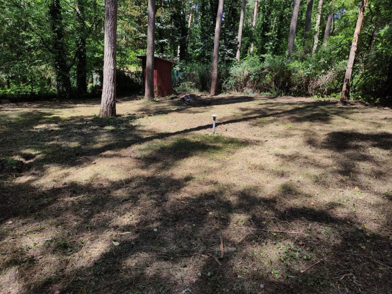 Działka budowlana Sokolniki-Las, ul. Adama Mickiewicza. Zdjęcie 5