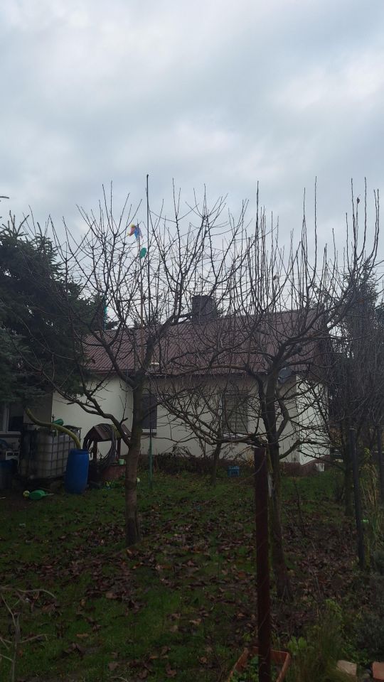 Działka rolno-budowlana Koczwara, ul. Gruntowa. Zdjęcie 3