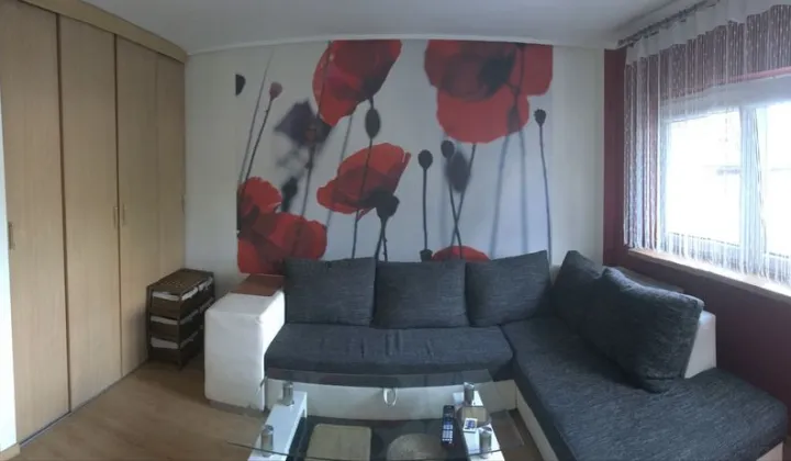 Mieszkanie 1-pokojowe Zabrze Centrum, ul. Klonowa