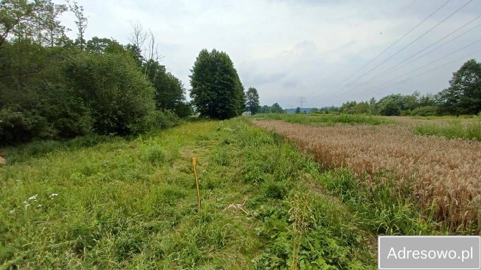 Działka rolna Piekary. Zdjęcie 1