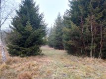 Działka budowlana Jeżewo. Zdjęcie 2