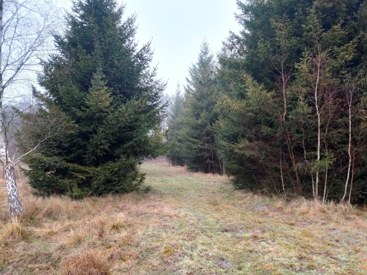 Działka budowlana Jeżewo. Zdjęcie 3