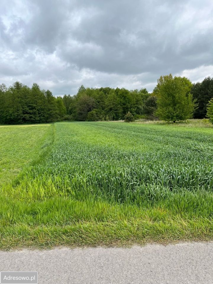 Działka Strachosław