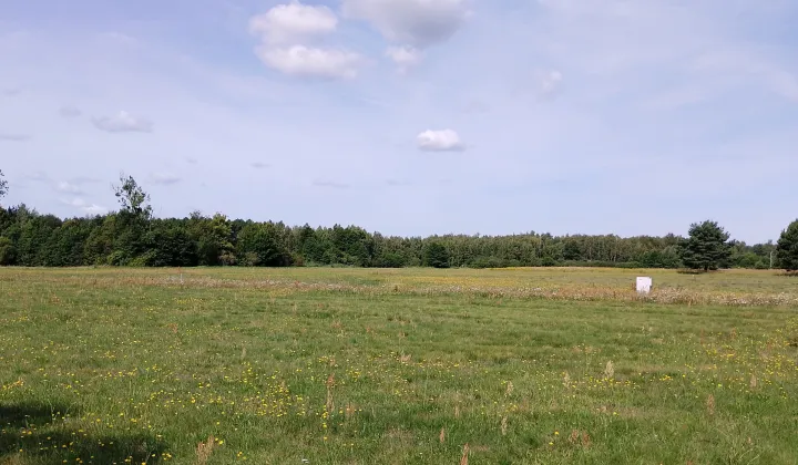 Działka budowlana Jesionka, ul. Przejazdowa