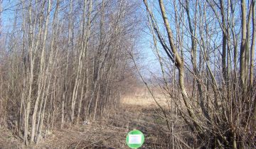 Działka rekreacyjna Żarnów, ul. Górnicza