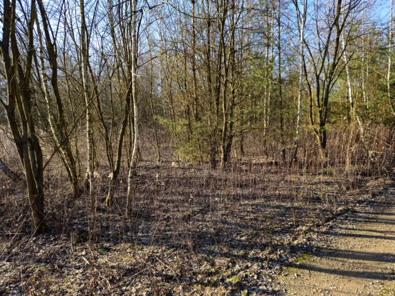 Działka budowlana Cychry. Zdjęcie 6