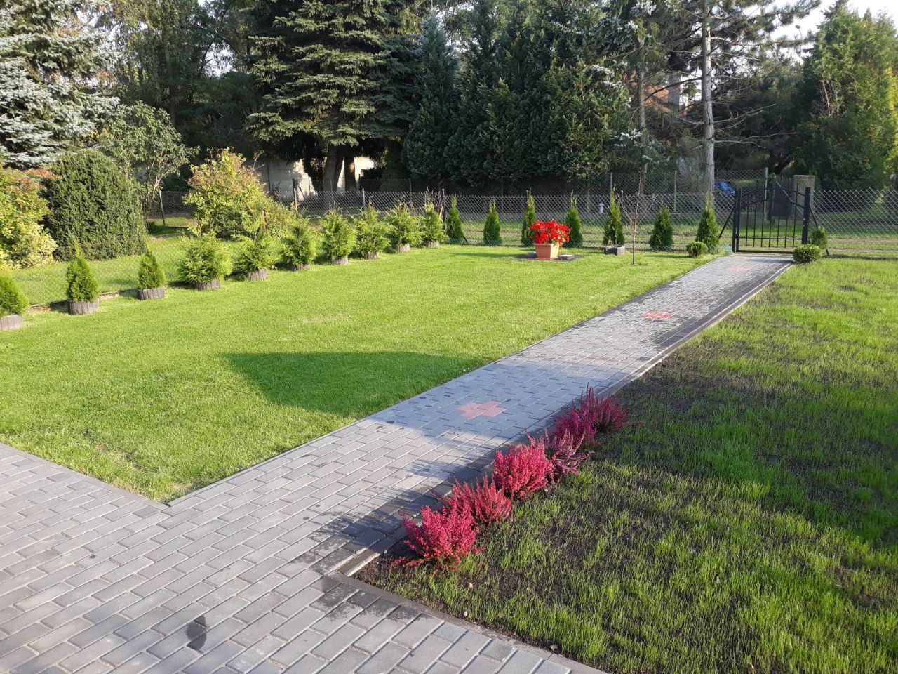 Działka rod Poznań Grunwald, ul. Złotowska. Zdjęcie 6