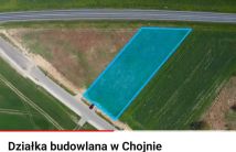 Działka inwestycyjna Chojna. Zdjęcie 4