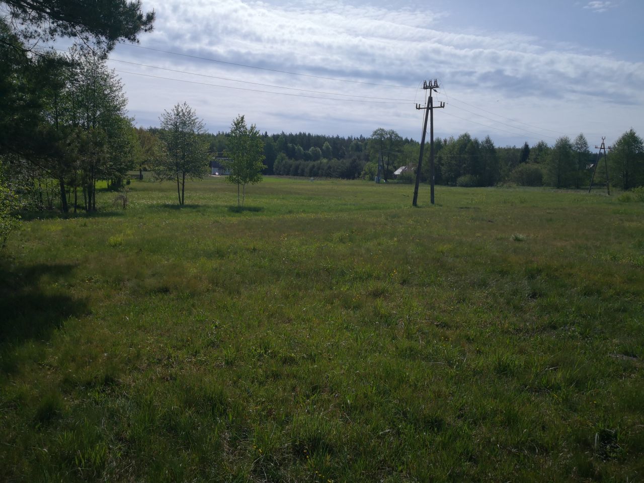 Działka rolno-budowlana Kosmaty Borek. Zdjęcie 2