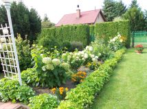 Działka rod Złotokłos, ul. Mrokowska. Zdjęcie 3